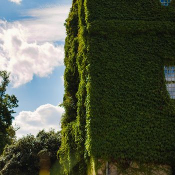 Schloss Wolfsburg